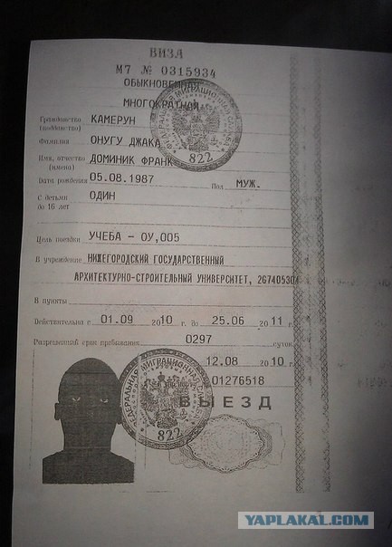 Найди негра