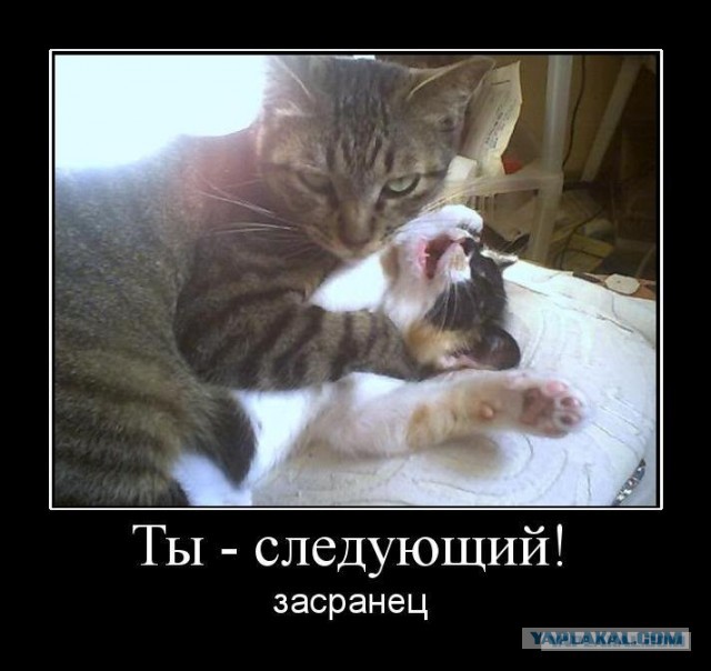 Моющее средство!