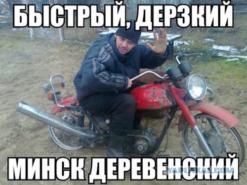 Приколы из сети
