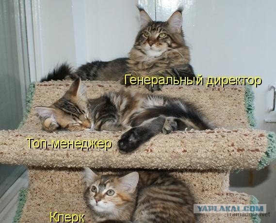 Приёмная мать