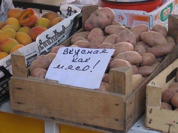 Объявления, вывески