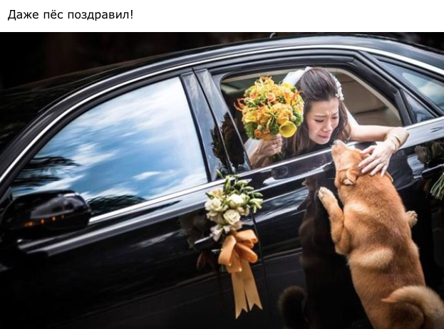 Подборка забавных картинок