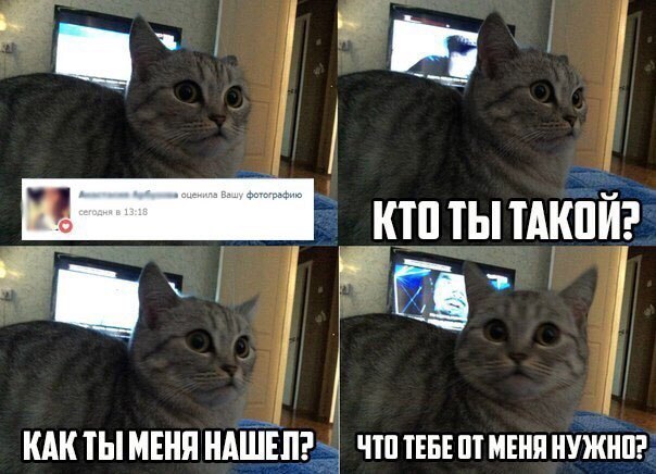 Веселые картинки
