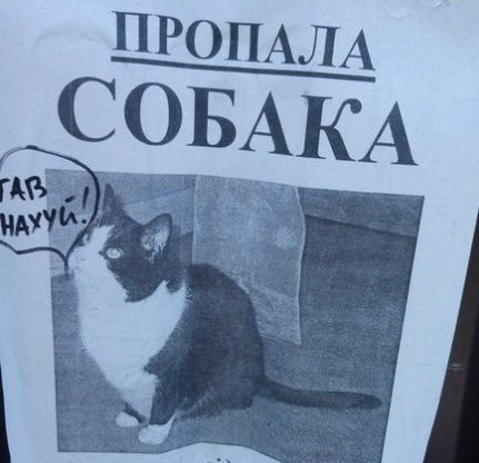 Картинки из ваших этих итернетов...