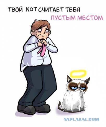 Как видите себя вы, и как видит вас ваша собака
