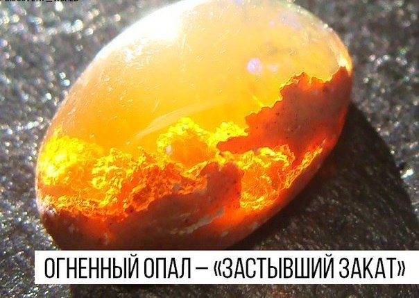 Интересные и веселые картинки