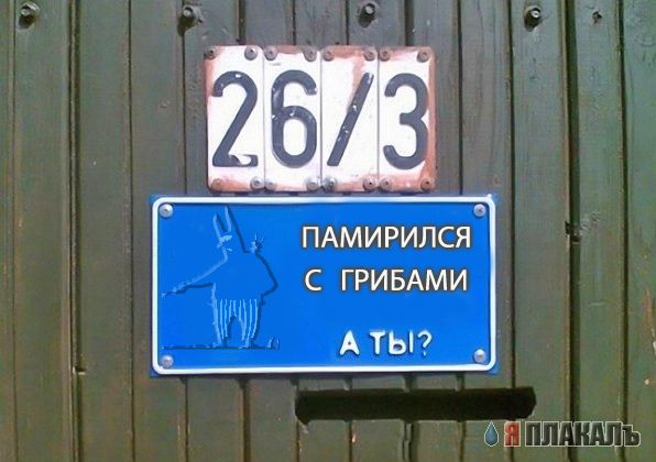 Фотожаба: Я Табличка