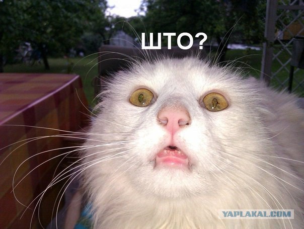 14 научных фактов, которые заставят вас взглянуть на мир по-другому