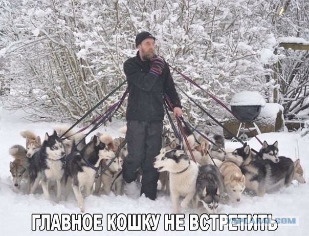 Подборка интересных и веселых картинок