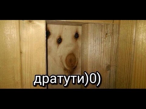 Проблемы англоговорящих