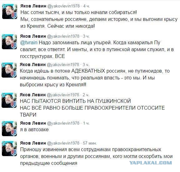 Мирный протест говорите?