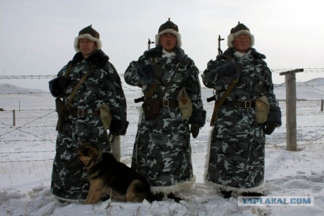 Как проходят сборы студентов военных кафедр в Монголии