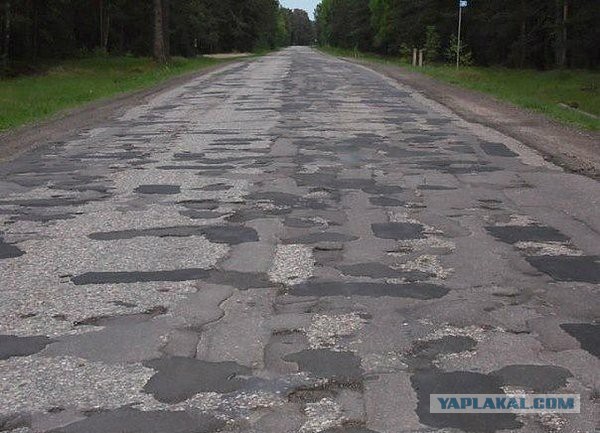 Подборка интересных и веселых картинок