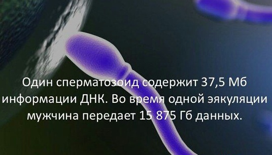 Смешные комментарии из социальных сетей 20.10.2017