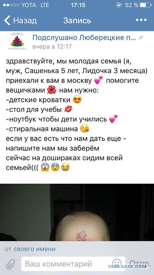 Яжематери осваивают собирательство