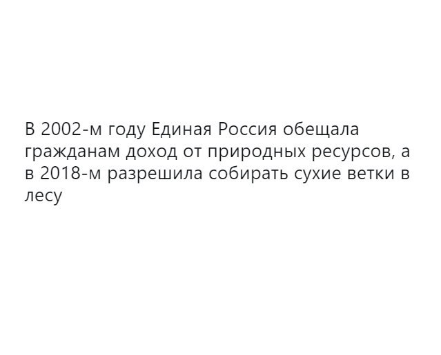 Гражданам разрешили бесплатно собирать валежник