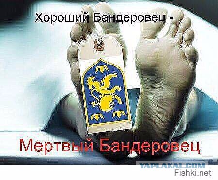 Россиян наказали за защиту сибирского леса от китайцев