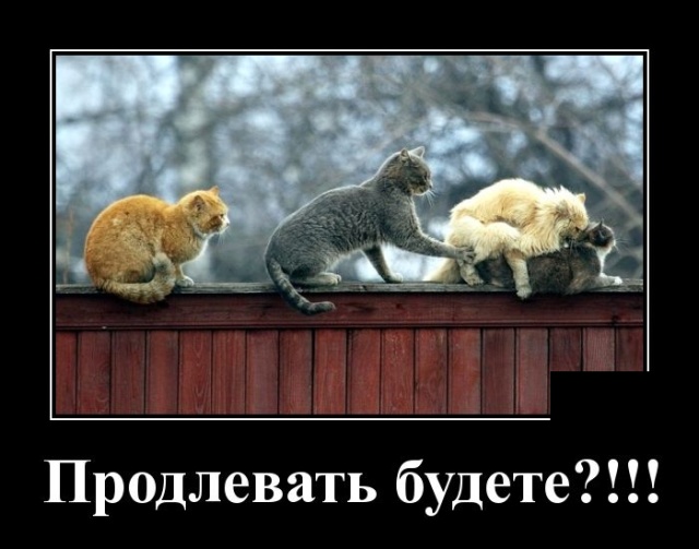 Калейдоскоп Картинок