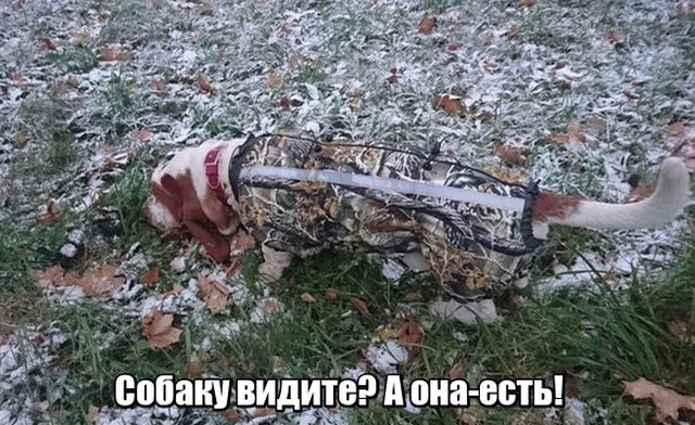 Наверное показалось...
