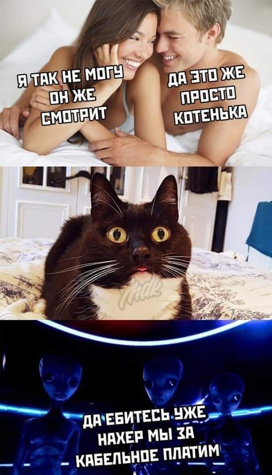 Картинки в рамках с надписями
