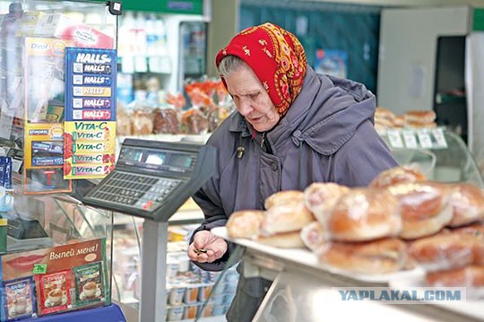 Путин на связи