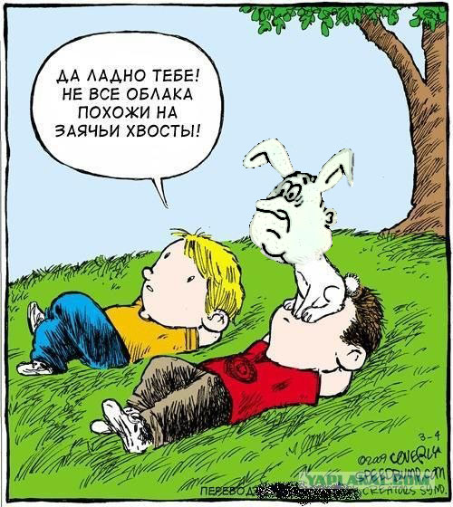 Смотрим на облака вместе