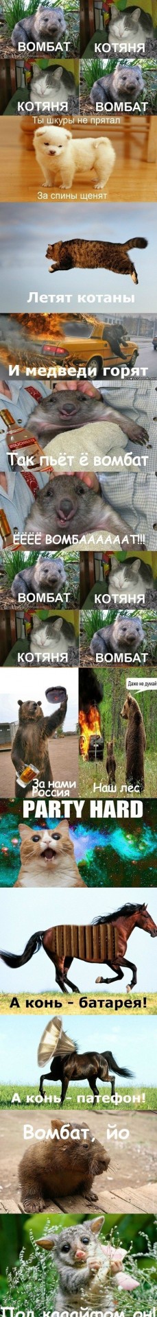 И пусть это какой-то неправильный "хомячок", но даже ему нужно колесо!