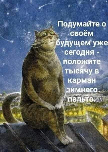 Веселые истории о нас №237