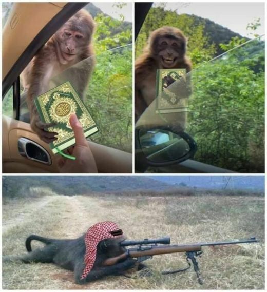 Теряя свою веру