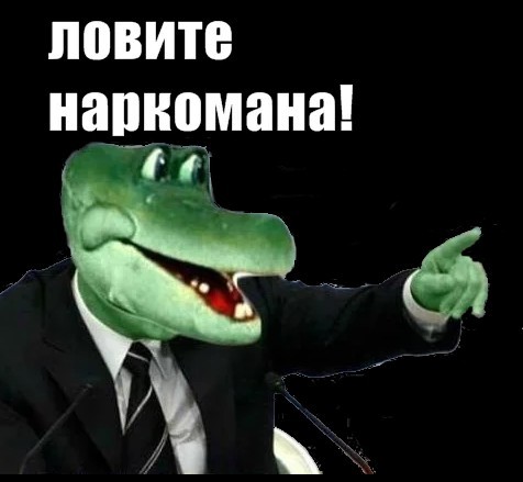 Как я дома выращивал шампиньоны используя подручные средства