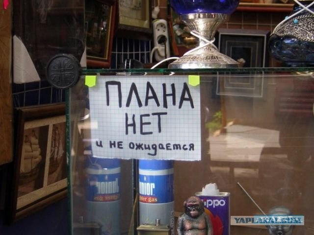 Таксидермия + наркомания