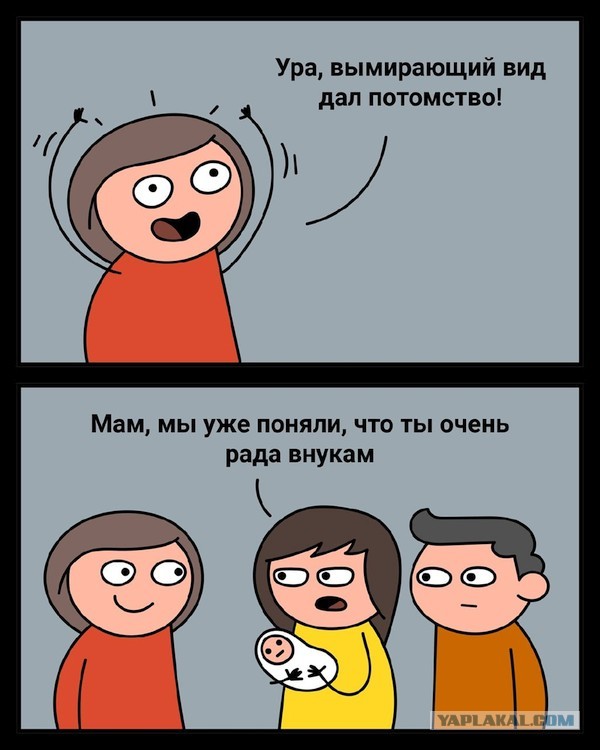 С миру по нитке 6.02.21