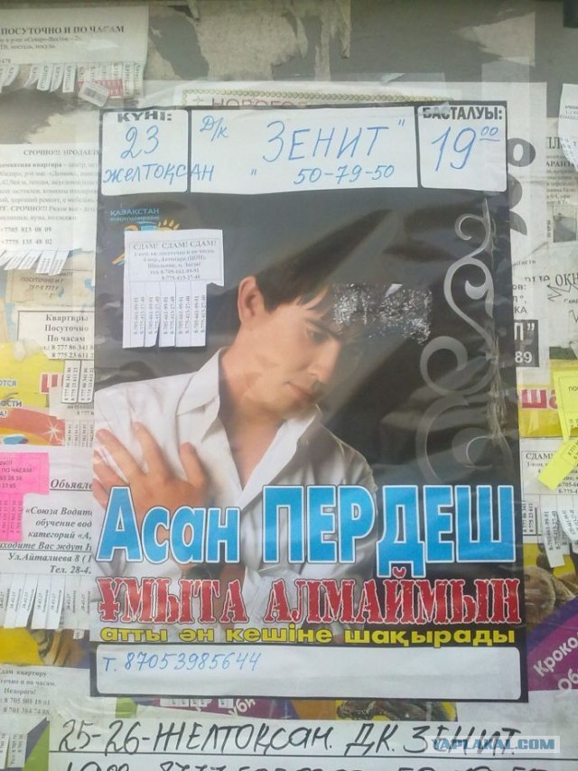 Пуки после оргазма