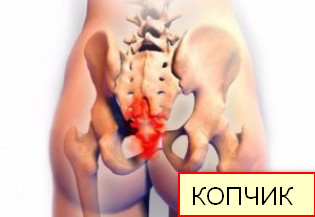 Домашние пердачки, которые заманивают в гости на чашечку чая.