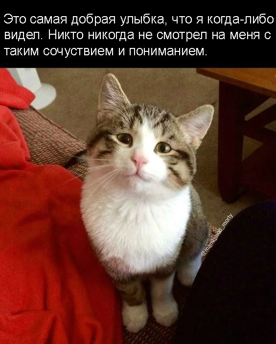 Прикольные и просто красивые картинки 30.05.21