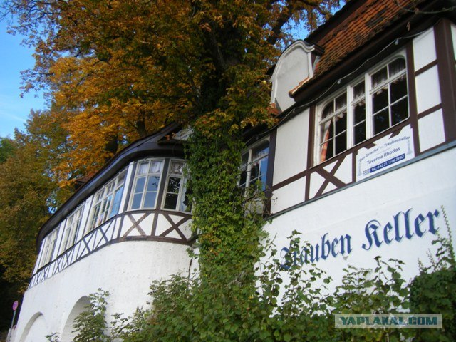 Осенняя зарисовка