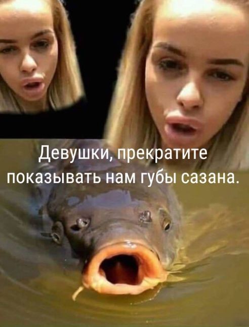Выставление себя напоказ в социальных сетях