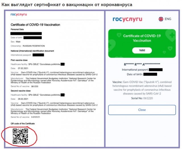 Баранный вируссологический пикчерзз