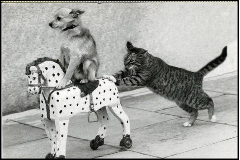 Мишустин призвал достичь не менее 80-90% коллективного иммунитета