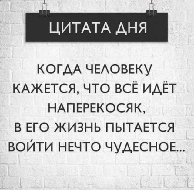 Баянисто-небаянистый юмор 21.02.22