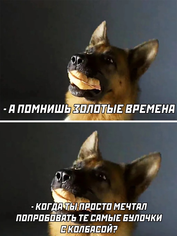 Весёлый полтишок 24.05.22