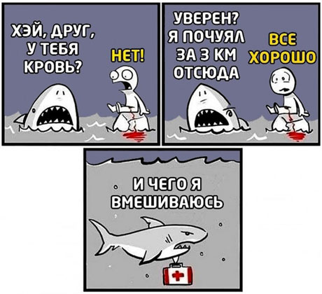 Так себе картинки 06.09.22