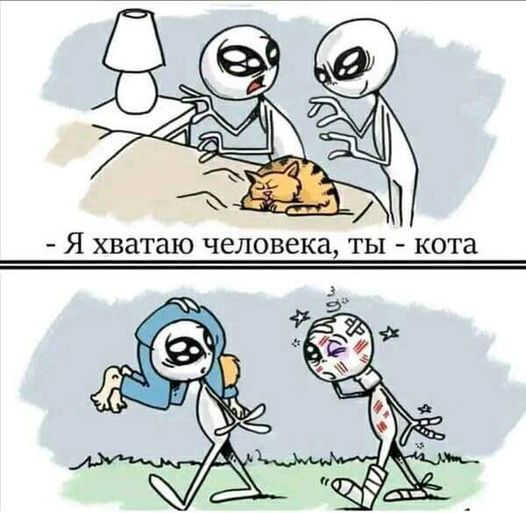 Пандемия съехавших крыш - разновидности болезни. Россия и мир. Часть 45.