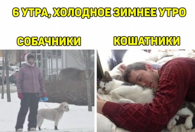 Немного картинок для настроения