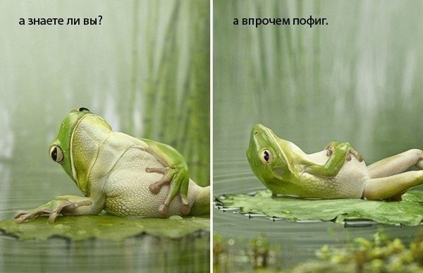 Короче, поступила как мужик