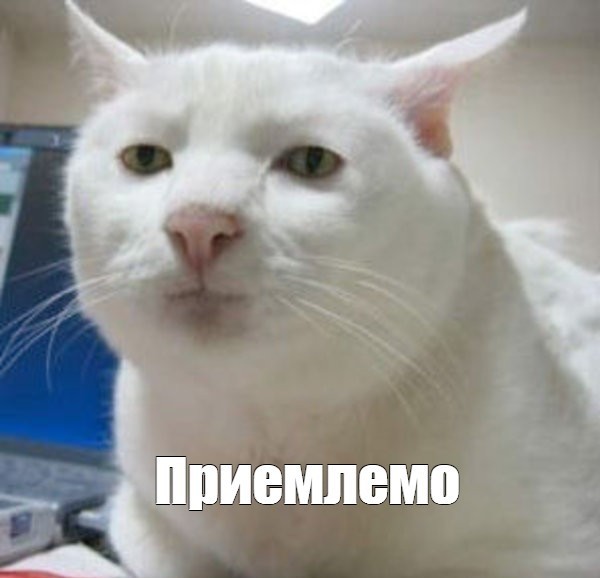 С овощами был, кукуруза тоже овощ