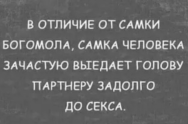 Нуштош 03.03.23