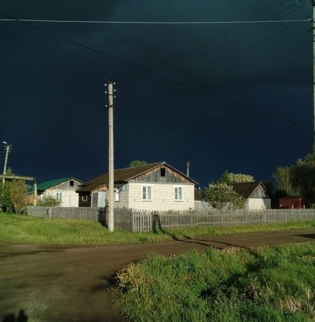 Перед грозой в поле