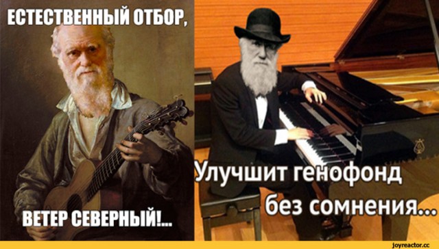 Вот тебе и "Камчатские медведи"
