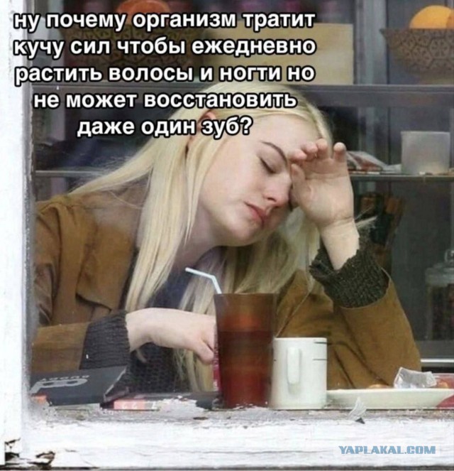 Чуток картинок